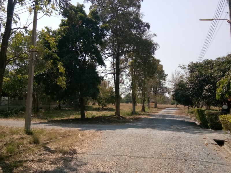 ที่ดิน 1200000 นครราชสีมา ปากช่อง หนองสาหร่าย