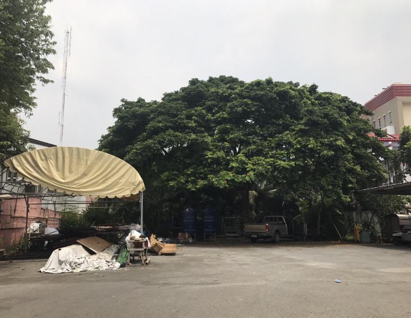 ที่ดิน 32000000 นนทบุรี เมืองนนทบุรี บางกระสอ
