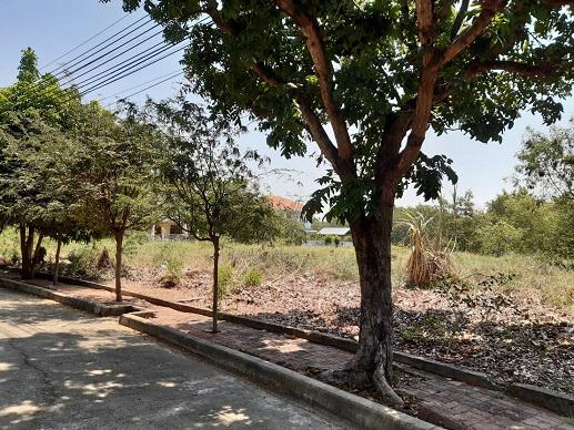 ที่ดิน 2000000 นนทบุรี บางบัวทอง บางรักพัฒนา
