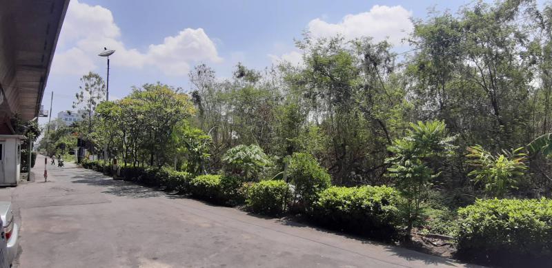 ที่ดิน 31500000 นนทบุรี เมืองนนทบุรี บางเขน