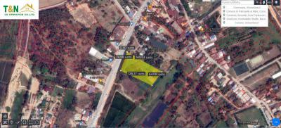 ที่ดิน 49000000 พิษณุโลก บางระกำ บางระกำ