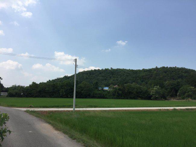 ที่ดิน 4000000 ราชบุรี โพธาราม ธรรมเสน