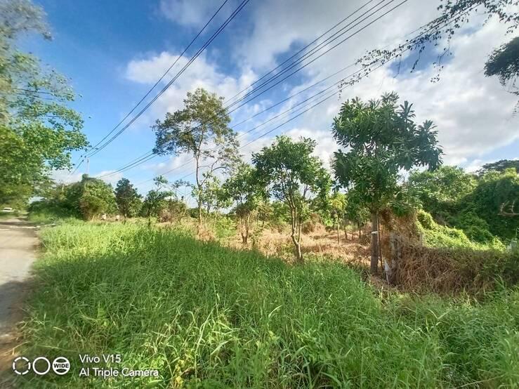 ที่ดิน 11000000 กรุงเทพมหานคร เขตสวนหลวง สวนหลวง