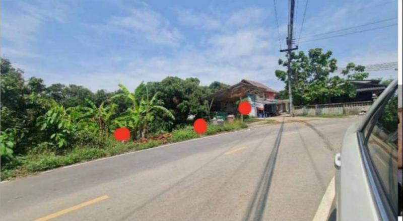 ที่ดิน 2960000 ลำพูน เมืองลำพูน มะเขือแจ้