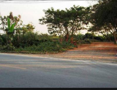 ที่ดิน 16800 เชียงใหม่ สารภี ชมภู