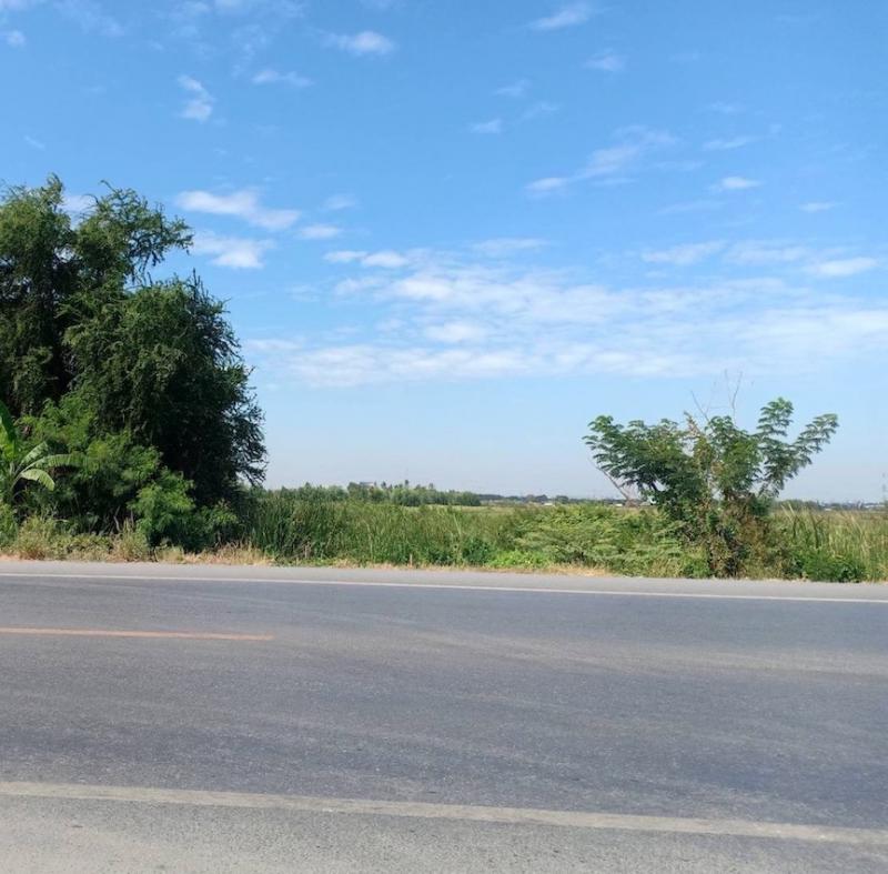 ที่ดิน 100000000 พระนครศรีอยุธยา บางปะอิน ตลิ่งชัน