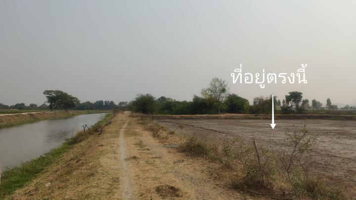 ที่ดิน 499999 ราชบุรี โพธาราม นางแก้ว