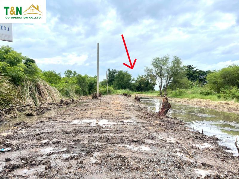 ที่ดิน 3200000 ปทุมธานี ธัญบุรี รังสิต