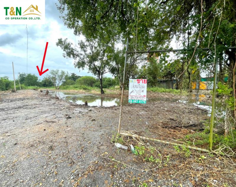 ที่ดิน 3200000 ปทุมธานี ธัญบุรี รังสิต