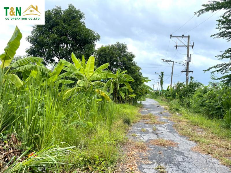 ที่ดิน 3200000 ปทุมธานี ธัญบุรี รังสิต