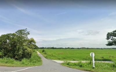ที่ดิน 17500000 พระนครศรีอยุธยา นครหลวง นครหลวง