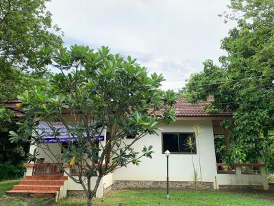 บ้านเดี่ยว 2200000 นครนายก เมืองนครนายก สาริกา