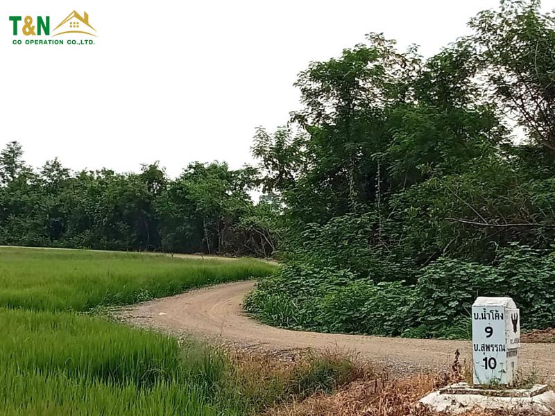 ที่ดิน 1116450 แพร่ สูงเม่น สบสาย