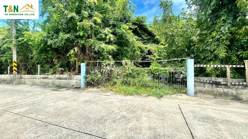 ที่ดิน 15141000 ปทุมธานี เมืองปทุมธานี บางคูวัด