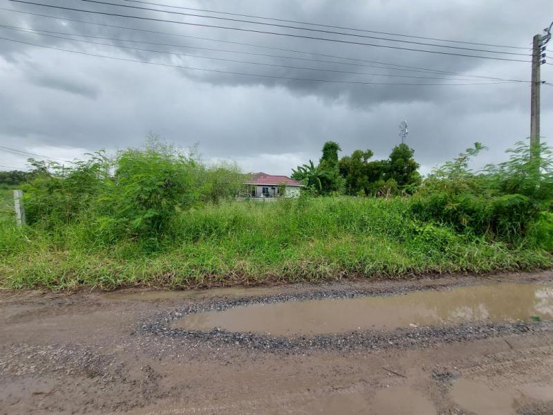 ที่ดิน 750000 กรุงเทพมหานคร เขตหนองจอก โคกแฝด