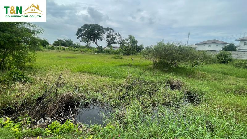 ที่ดิน 28475000 ปทุมธานี เมืองปทุมธานี บางคูวัด