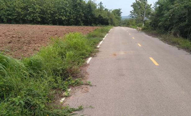ที่ดิน 1750000 ลำปาง เมืองลำปาง นิคมพัฒนา
