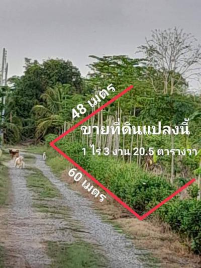 ที่ดิน 4200000 พิษณุโลก เมืองพิษณุโลก ท่าทอง