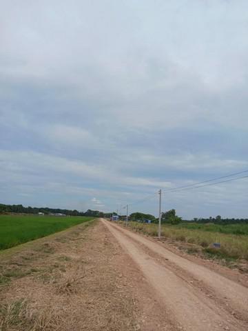 ที่ดิน 950000 ปทุมธานี หนองเสือ บึงบอน