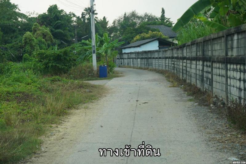 ที่ดิน 24337500 นครปฐม สามพราน ท่าข้าม