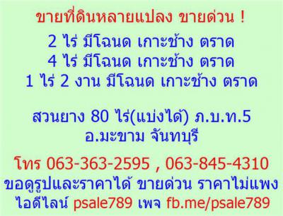ที่ดิน 0 กรุงเทพมหานคร เขตบางนา