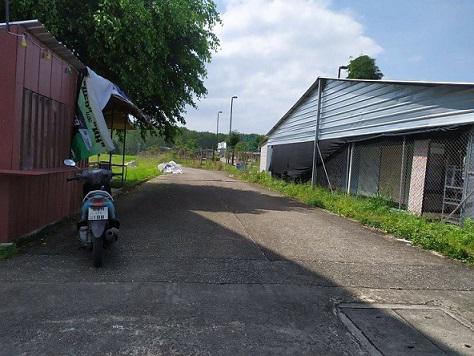 ที่ดิน 290000000 ระนอง เมืองระนอง บางริ้น