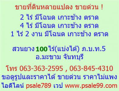 ที่ดิน 0 จันทบุรี มะขาม ปัถวี