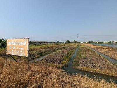 ที่ดิน 35000 นนทบุรี ไทรน้อย ไทรน้อย