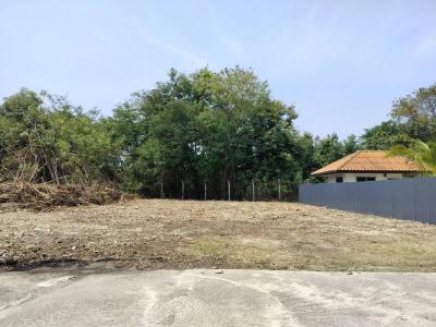ที่ดิน 1962000 ลำปาง เมืองลำปาง