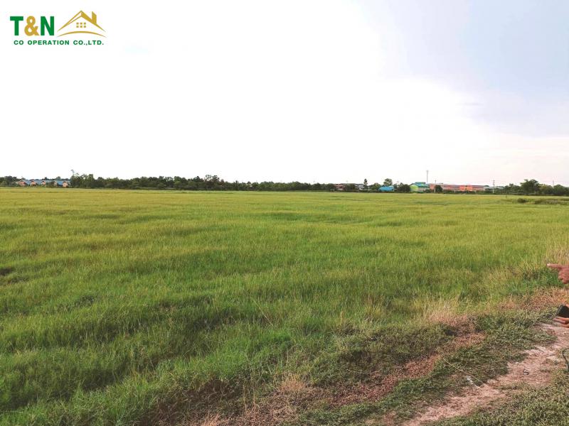 ที่ดิน 55165000 ฉะเชิงเทรา บ้านโพธิ์ แสนภูดาษ