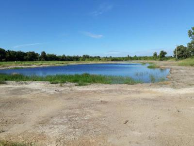 ที่ดิน 700000 ปทุมธานี หนองเสือ ศาลาครุ