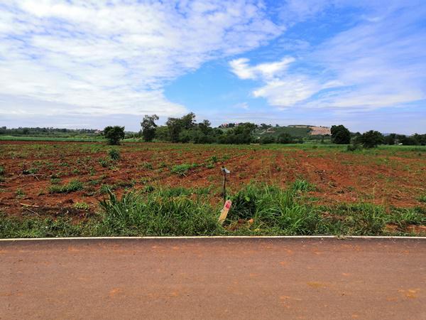 ที่ดิน 32500000 นครราชสีมา ปากช่อง คลองม่วง