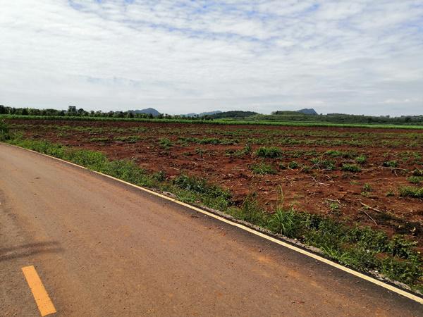 ที่ดิน 32500000 นครราชสีมา ปากช่อง คลองม่วง