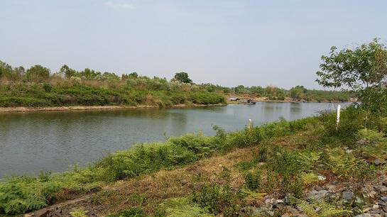 ที่ดิน 25000000 บุรีรัมย์ คูเมือง ปะเคียบ