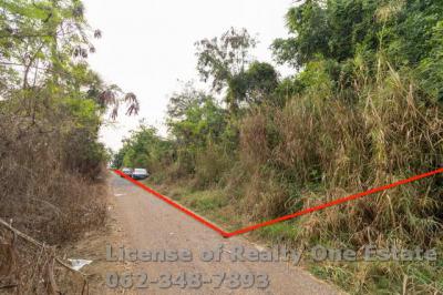 ที่ดิน 17880000 ปทุมธานี สามโคก คลองควาย