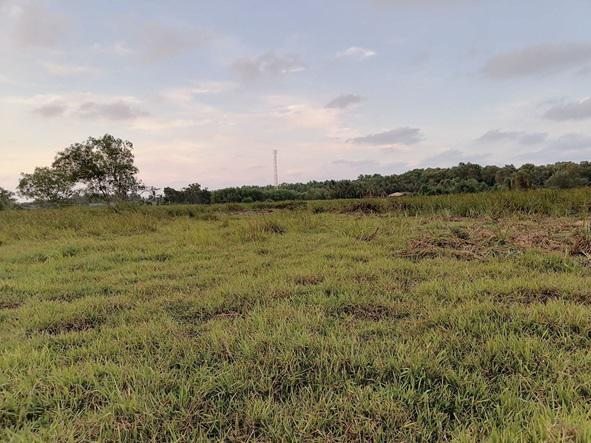 ที่ดิน 42000000 สงขลา เมืองสงขลา เขารูปช้าง
