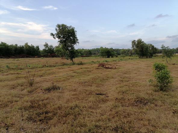 ที่ดิน 42000000 สงขลา เมืองสงขลา เขารูปช้าง