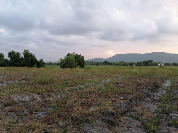 ที่ดิน 42000000 สงขลา เมืองสงขลา เขารูปช้าง