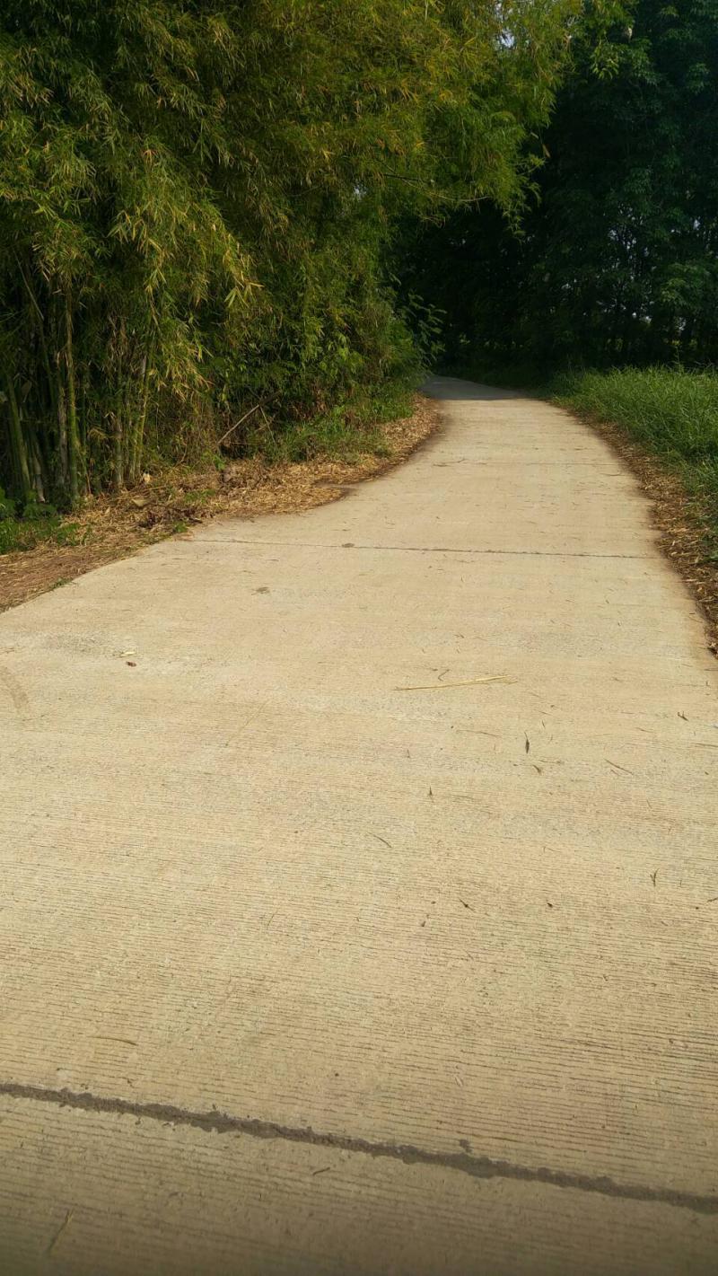 ที่ดิน 900000 หนองคาย ท่าบ่อ โพนสา