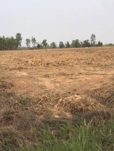 ที่ดิน 25000000 อุดรธานี บ้านผือ หายโศก