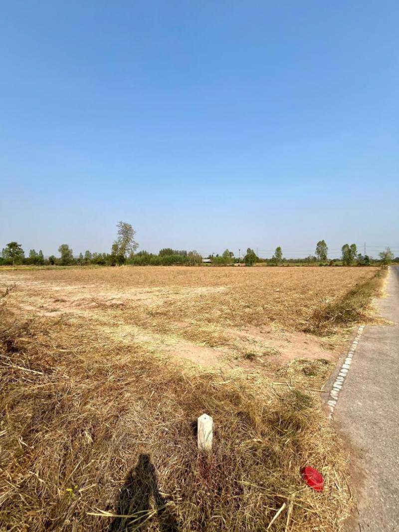 ที่ดิน 1200000 กรุงเทพมหานคร เขตบางแค บางแค