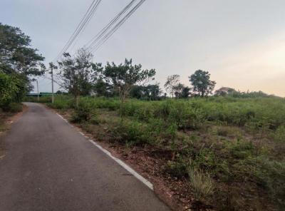 ที่ดิน 12000000 ราชบุรี โพธาราม คลองตาคต