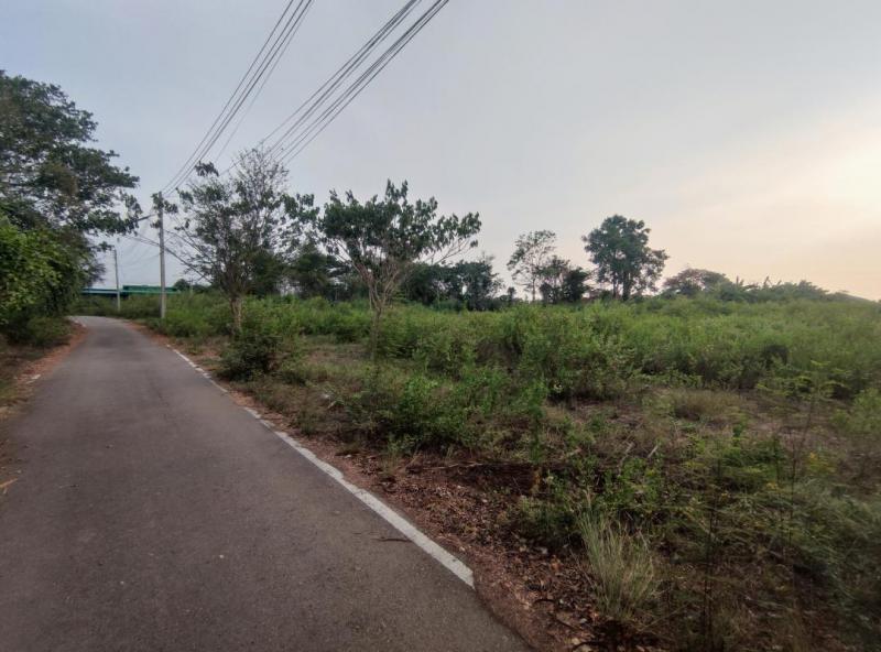 ที่ดิน 12000000 ราชบุรี โพธาราม คลองตาคต