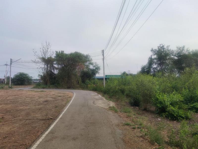 ที่ดิน 12000000 ราชบุรี โพธาราม คลองตาคต