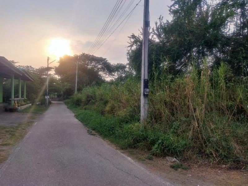 ที่ดิน 12000000 ราชบุรี โพธาราม คลองตาคต