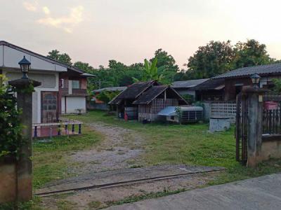 ที่ดิน 24500 เชียงใหม่ หางดง หนองควาย