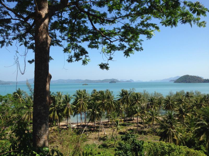 ที่ดิน 1426250000 ภูเก็ต ถลาง ป่าคลอก