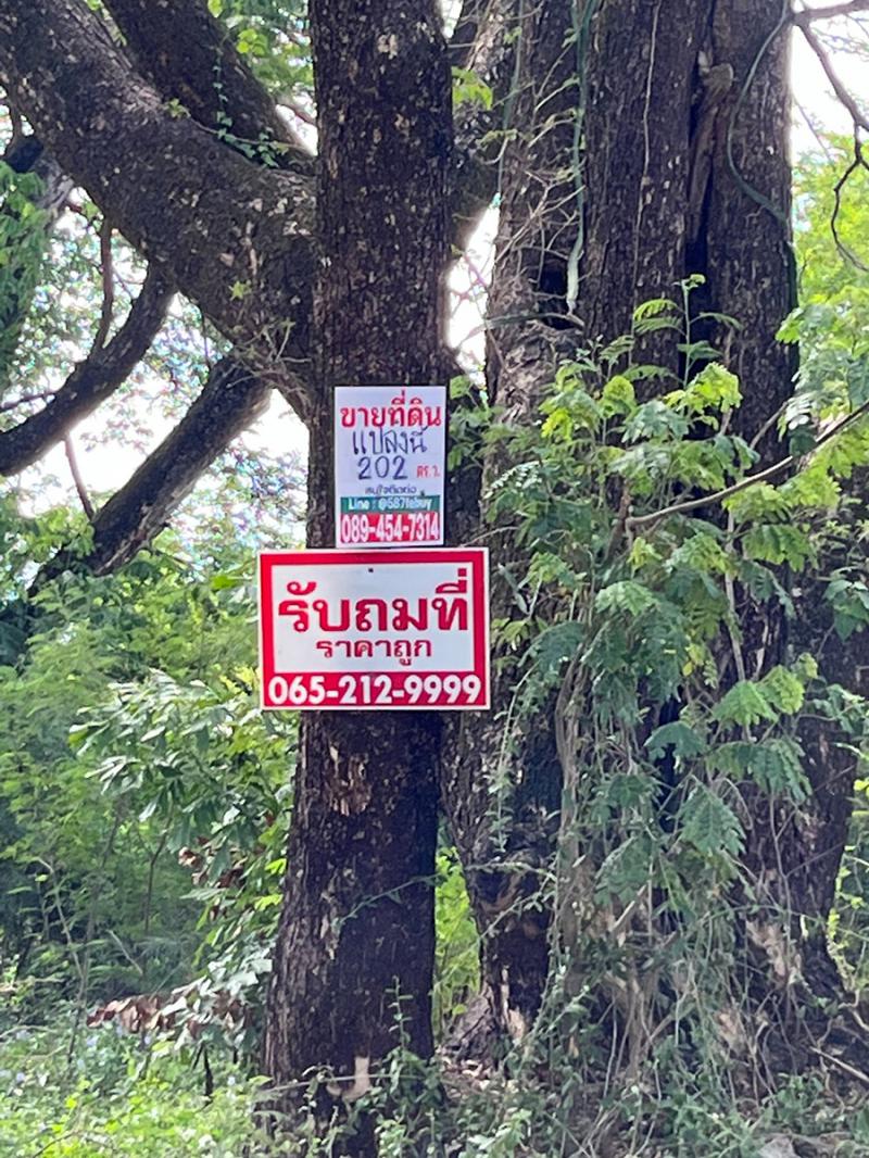 ที่ดิน 7070000 กรุงเทพมหานคร เขตบึงกุ่ม คลองกุ่ม