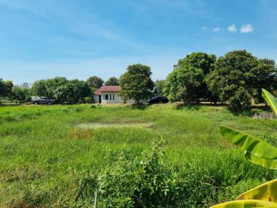 ที่ดิน 2500000 นครนายก เมืองนครนายก ดงละคร
