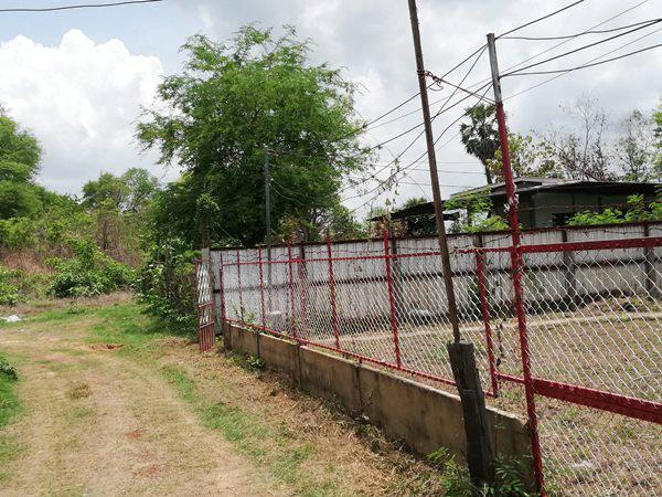 บ้านเดี่ยว 250000 อุบลราชธานี พิบูลมังสาหาร โพธิ์ศรี
